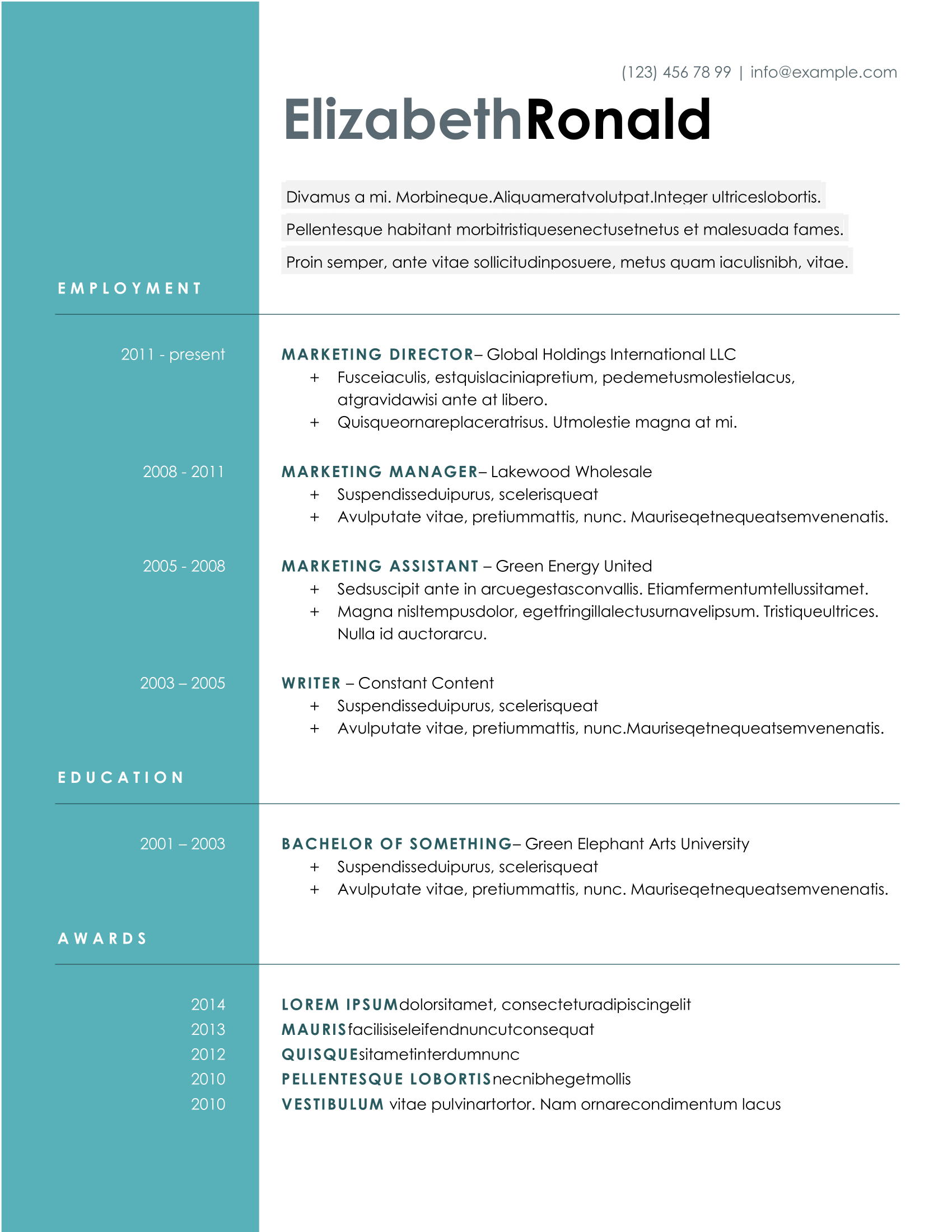 CV Template